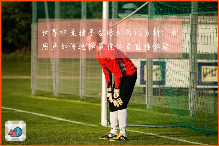 世界杯竞猜平台地址对比分析：新用户如何选择最佳体育直播体验