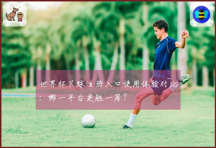 世界杯买球注册入口使用体验对比：哪一平台更胜一筹？