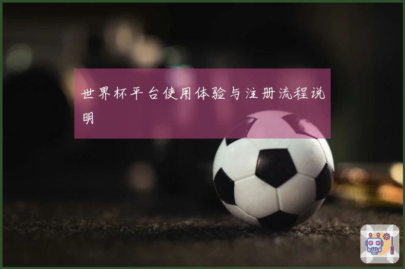 世界杯平台使用体验与注册流程说明