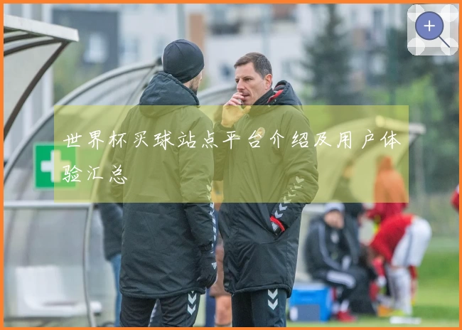 世界杯买球站点平台介绍及用户体验汇总