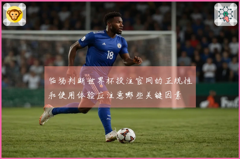 临场判断世界杯投注官网的正规性和使用体验应注意哪些关键因素