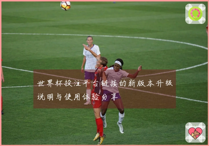 世界杯投注平台链接的新版本升级说明与使用体验分享