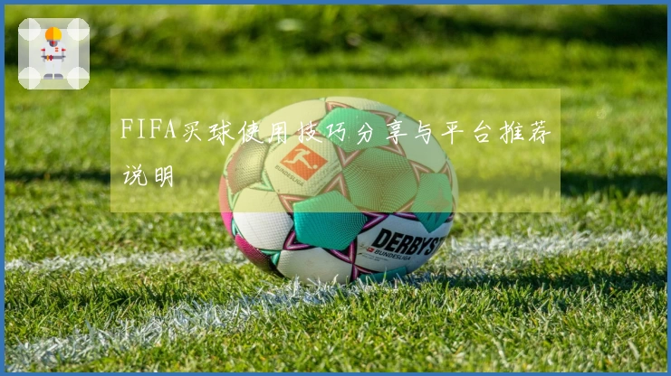 FIFA买球使用技巧分享与平台推荐说明