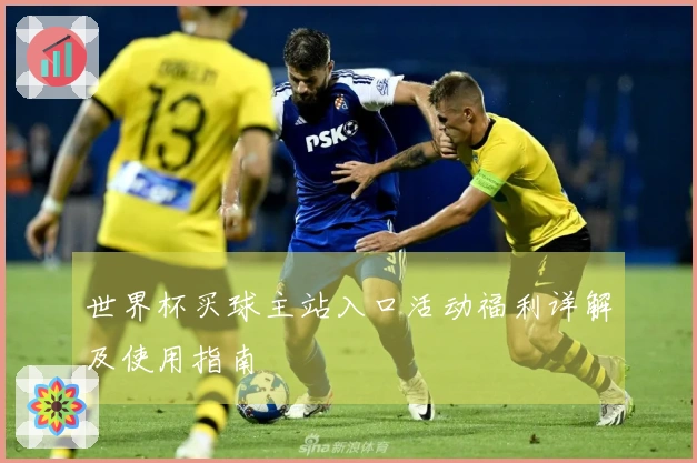 世界杯买球主站入口活动福利详解及使用指南