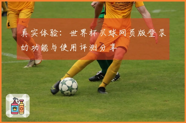 真实体验：世界杯买球网页版登录的功能与使用评测分享