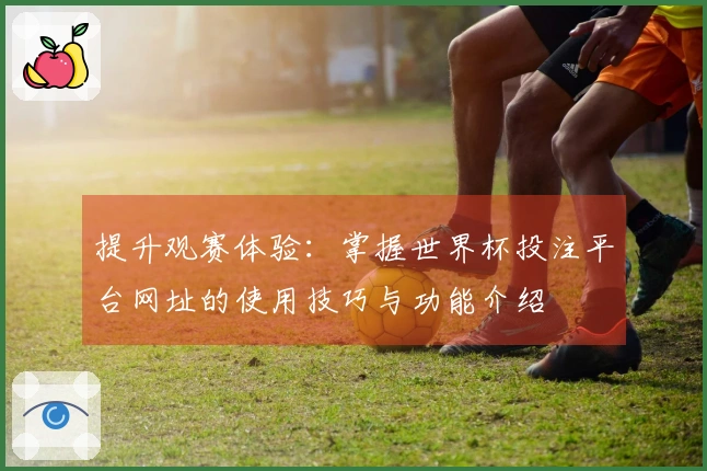 提升观赛体验：掌握世界杯投注平台网址的使用技巧与功能介绍