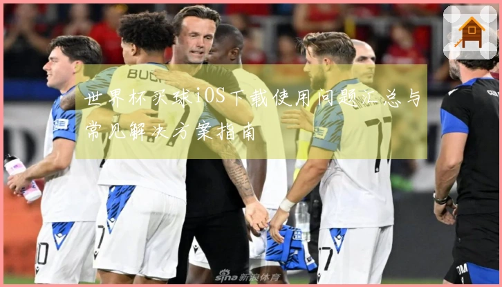 世界杯买球iOS下载使用问题汇总与常见解决方案指南