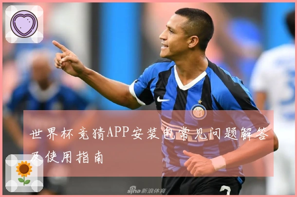 世界杯竞猜APP安装包常见问题解答及使用指南