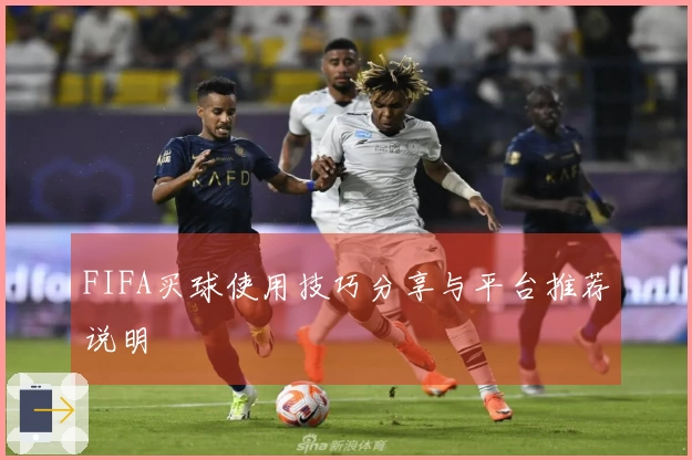 FIFA买球使用技巧分享与平台推荐说明