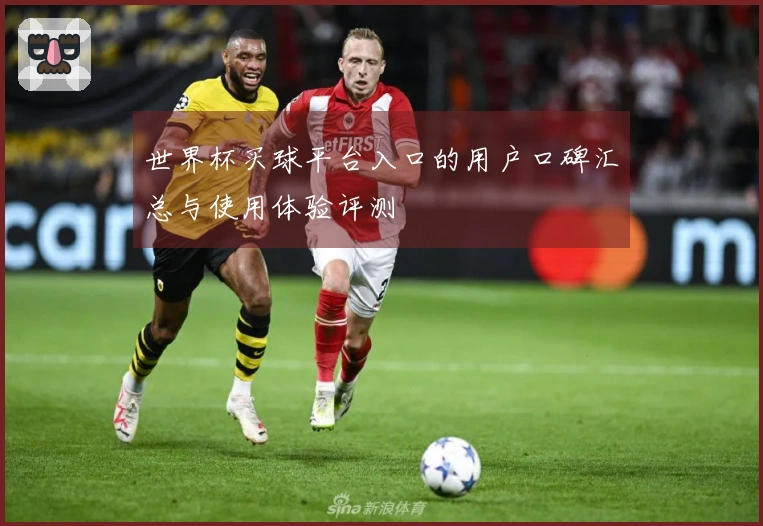 世界杯买球平台入口的用户口碑汇总与使用体验评测