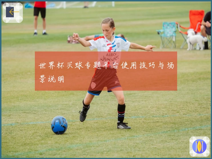 世界杯买球专题平台使用技巧与场景说明
