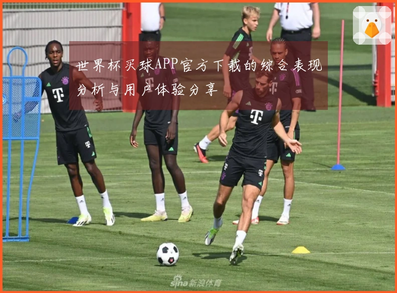 世界杯买球APP官方下载的综合表现分析与用户体验分享