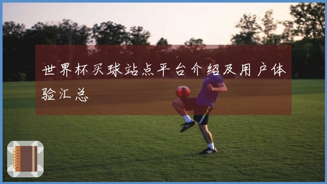 世界杯买球站点平台介绍及用户体验汇总