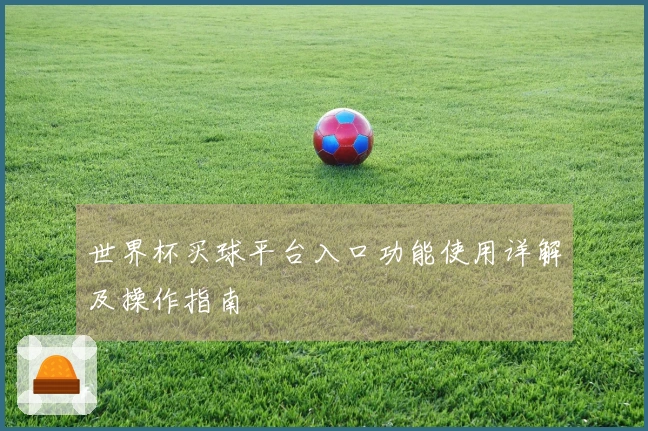 世界杯买球平台入口功能使用详解及操作指南