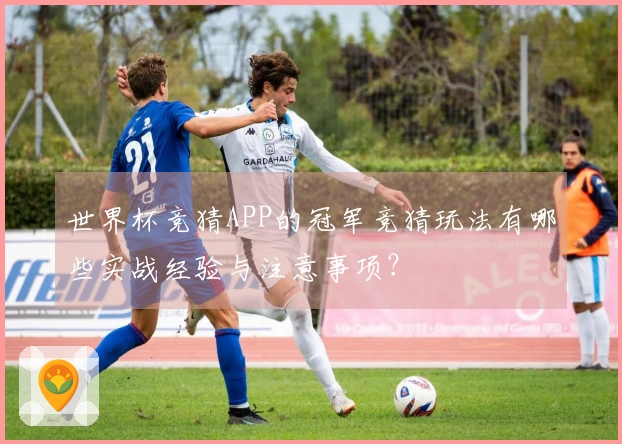 世界杯竞猜APP的冠军竞猜玩法有哪些实战经验与注意事项？