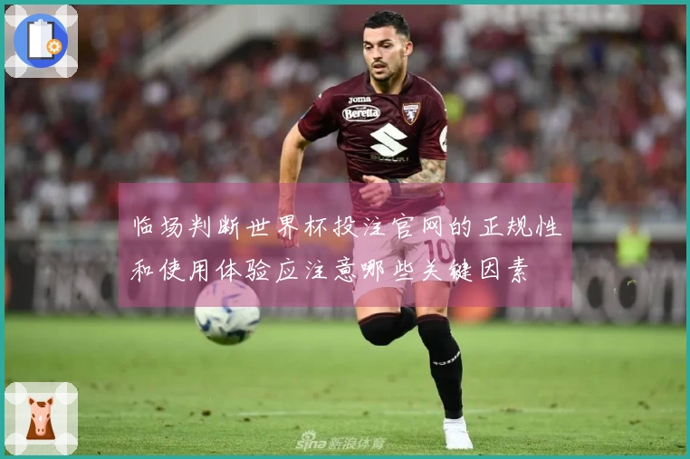 临场判断世界杯投注官网的正规性和使用体验应注意哪些关键因素
