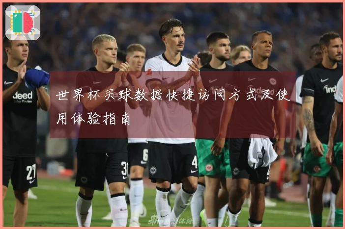 世界杯买球数据快捷访问方式及使用体验指南